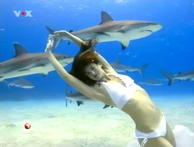 sg6 shark girl 6